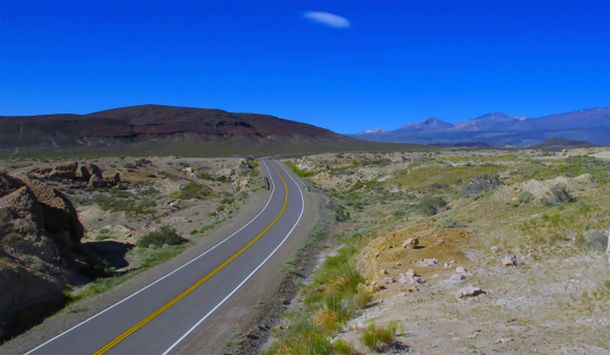 Neuquén: iba por la Ruta 40 y atropelló y mató decenas de chivos