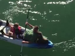 paseaban con su canoa y un tierno lobo marino bebe se sumo al recreo familiar paseaban con su canoa y un tierno lobo marino bebe se sumo al recreo familiar