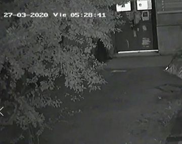 El robo del ciudadano colombiano qued&oacute; registrado en las c&aacute;maras de seguridad del Malbr&aacute;n