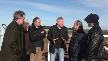 para de narvaez, massa votaria una reforma constitucional para de narvaez, massa votaria una reforma constitucional