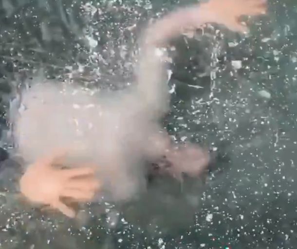Casi muere congelado y el video se volvi&oacute; viral