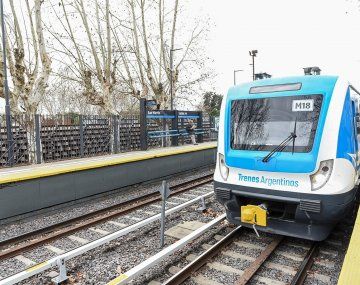 Los trenes de la línea Mitre no llegarán a Retiro entre el viernes y el lunes
