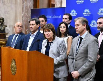 El Senado prorrogó el programa nacional de entrega voluntaria de armas hasta diciembre de 2027. Foto: NA.&nbsp;