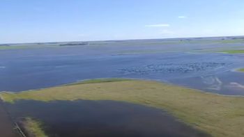 el gobierno desplegara un operativo especial en 9 de julio para asistir a las zonas anegadas el gobierno desplegara un operativo especial en 9 de julio para asistir a las zonas anegadas