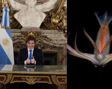 Abrumadora diferencia de visualizaciones entre el Conicet y la cadena de Milei