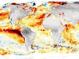 El fenómeno El Niño había comenzado en junio de 2023. El fenómeno El Niño había comenzado en junio de 2023.