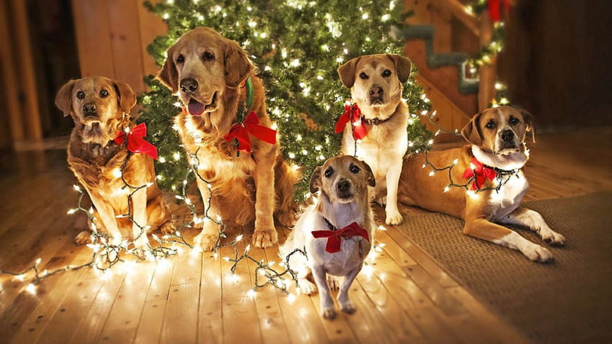 Imagen noticia completa