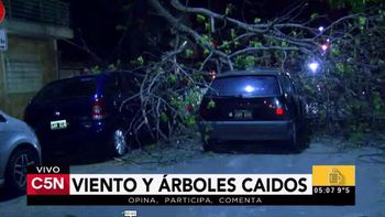 mucho viento en la ciudad: cayeron arboles, uno de ellos sobre un auto que circulaba mucho viento en la ciudad: cayeron arboles, uno de ellos sobre un auto que circulaba