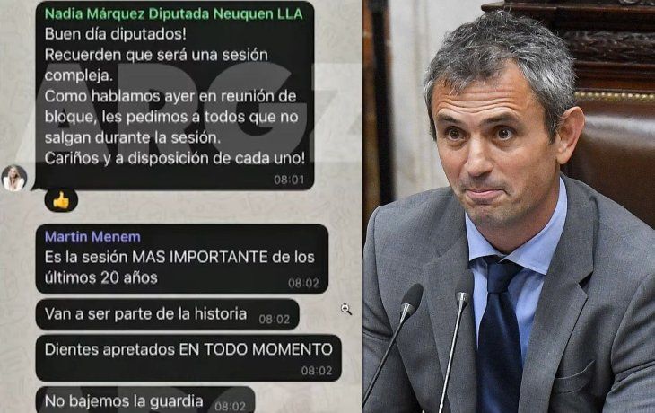 Jorge Rial reveló audios de Martín Menem alentando a diputados libertarios: Hagan quilombo