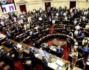 Hoy juran los diputados electos el 14 de noviembre: cómo queda conformada la Cámara baja