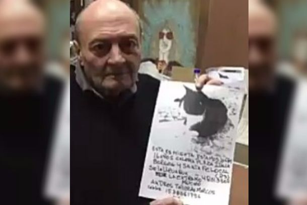 Perdió a su gata de toda la vida y pide ayuda para encontrarla: La extraño mucho