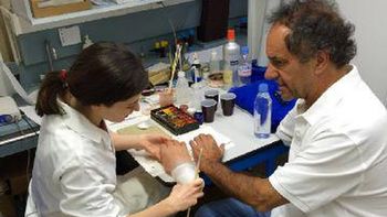 rabolini mostro como es el nuevo brazo de scioli para la pelea en octubre rabolini mostro como es el nuevo brazo de scioli para la pelea en octubre