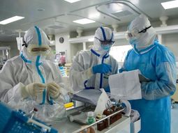 Científicos descubren que dos variantes de coronavirus se fusionan en un híbrido fuertemente mutado