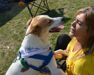 Refugios de animales: cuando el amor derrota a la indiferencia y al maltrato