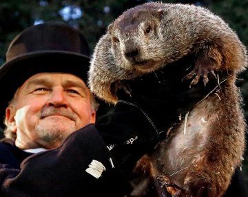 Murió la marmota Milltown Mel horas antes del Día de la Marmota