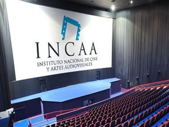 Desafortunada frase de un funcionario