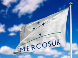 Las negociaciones en la Unión Europea y el Mercosur llevan más de 20 años. Las negociaciones en la Unión Europea y el Mercosur llevan más de 20 años.