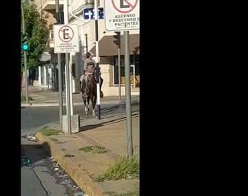 Se fue a cortar el pelo y estacionó al caballo en la puerta del local