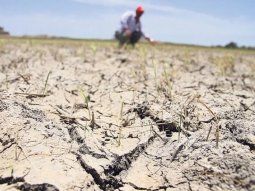 Declararon emergencia agropecuaria en Jujuy, Neuquén y Salta