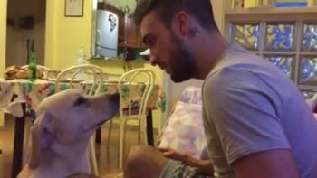 asi no se puede: quiso retar a su perro, pero lo derritio su extrema ternura asi no se puede: quiso retar a su perro, pero lo derritio su extrema ternura