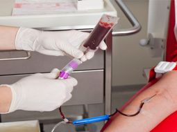 Día Nacional del Donante Voluntario de Sangre: bajó un 50% la donación desde el inicio de la pandemia