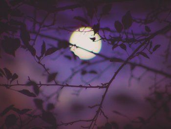 Luna llena en Virgo: qué significa y cómo afecta a los signos