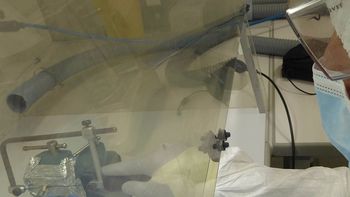 cientificos del conicet descubrieron un linaje genetico propio de argentina cientificos del conicet descubrieron un linaje genetico propio de argentina