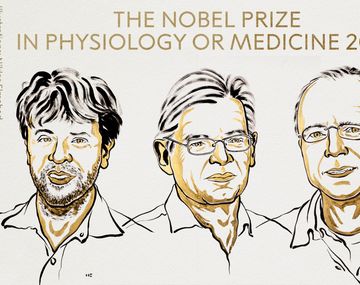 Tres científicos ganaron el Nobel de Medicina: el descubrimiento que sorprendió al mundo