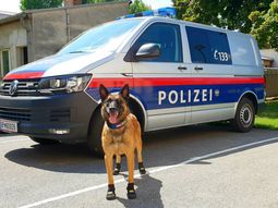 La policía canina de Zúrich, en Suiza, anda en botas por el calor del asfalto