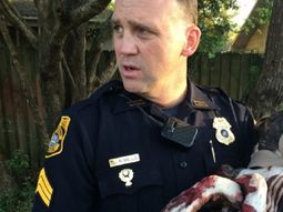 emotivo rescate de una perra atada en las vias emotivo rescate de una perra atada en las vias