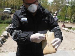 quemaron 343 kilos de marihuana secuestrada en pasos fronterizos de neuquen quemaron 343 kilos de marihuana secuestrada en pasos fronterizos de neuquen