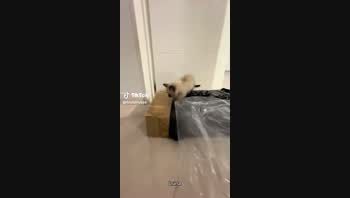 Fini Lanusse Fini Lanusse