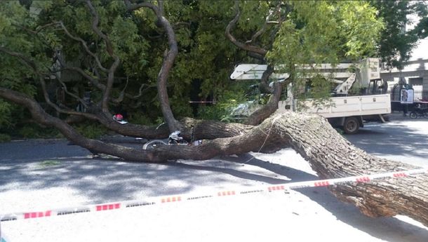 Ocurrió en avenida Entre Ríos al 900