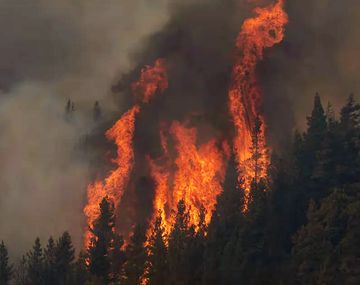 Se intensifican los incendios en Chubut por la ola de calor