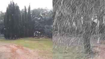 los videos de la llegada de la nieve este miercoles a buenos aires: frio extremo y nevadas los videos de la llegada de la nieve este miercoles a buenos aires: frio extremo y nevadas