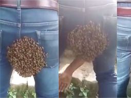 VIDEO: Un enjambre se posó en la cola de un hombre