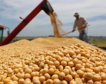 Exportaciones de granos podrían superar en 2022 hito histórico de 40.500 millones de dólares