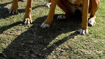 Martita y Rosita Martita y Rosita
