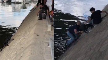 viral: asi fue el dramatico rescate de un perro que cayo al rio sena en paris viral: asi fue el dramatico rescate de un perro que cayo al rio sena en paris