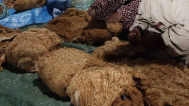 Foto gentileza: Todo Jujuy