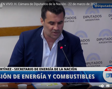 El secretario de Energía expuso en Diputados sobre la Ley de Biocombustibles