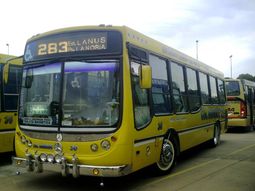 La mujer saltó desde el interno 18 de la línea 283 La mujer saltó desde el interno 18 de la línea 283