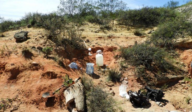 Río Negro: encontraron una nueva especie de dinosaurio