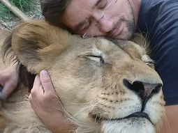 Murió devorado por los dos leones que tenía de mascotas