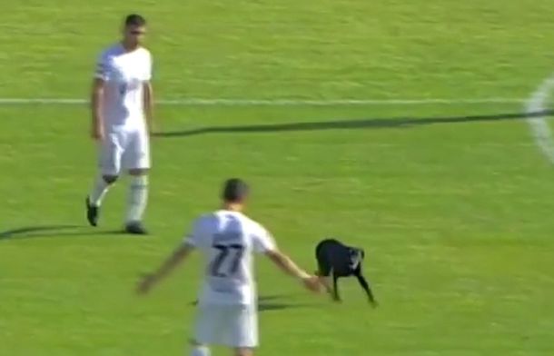 El empate entre Belgrano y Quilmes tuvo un invitado inesperado