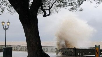 rige un alerta por vientos intensos: estas son las recomendaciones de la ciudad rige un alerta por vientos intensos: estas son las recomendaciones de la ciudad