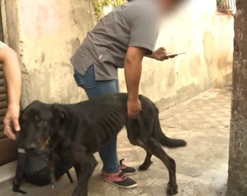 El hombre los abandonó porque eran de su ex novia