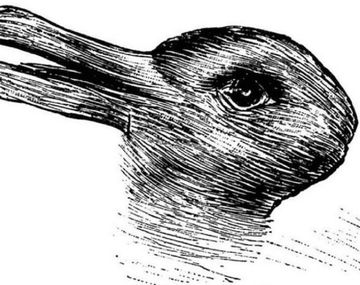 ¿Qué ves: un conejo o un pato?