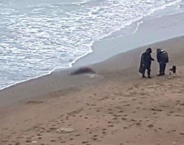 El cuerpo de la mujer fue encontrado en la costa