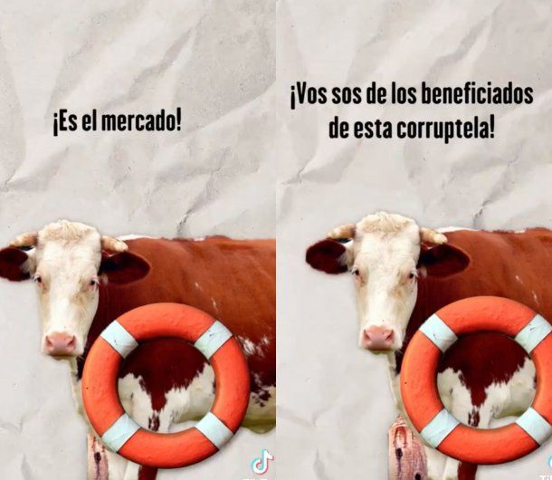 El libertarianismo explicado con vacas, el espectacular video viral que grafica a los seguidores de Milei